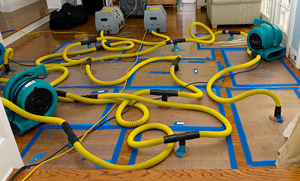 Professional Storm Water Damage Restoration technician working in Hoehne, CO